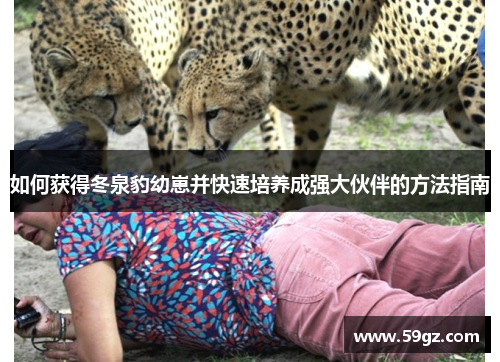 如何获得冬泉豹幼崽并快速培养成强大伙伴的方法指南