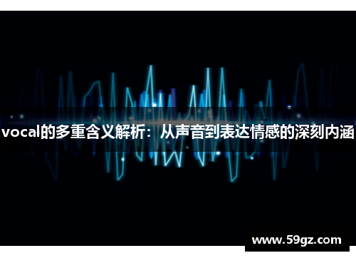 vocal的多重含义解析：从声音到表达情感的深刻内涵
