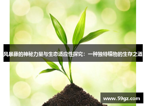 风暴藤的神秘力量与生态适应性探究：一种独特植物的生存之道