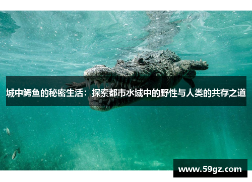 城中鳄鱼的秘密生活：探索都市水域中的野性与人类的共存之道